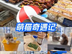 -武汉光谷K11