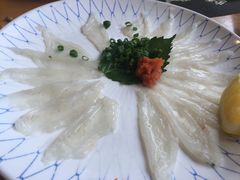 -天正河鲀·河豚亭(大连店)