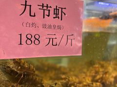 -联邦酒楼