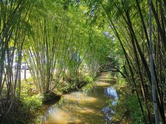-林丰温泉度假山庄