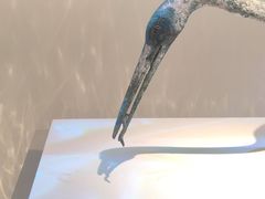 -秦始皇帝陵博物院(兵马俑)
