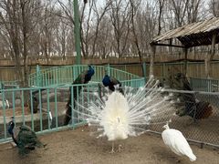 -水上乐园·欢乐世界