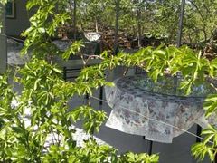 -水库活鱼馆(于桥水库店)