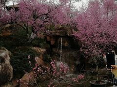 -秀丽东方