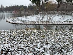 -圩墩遗址公园
