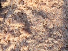 -浪琴湾尾角仔海鲜坊