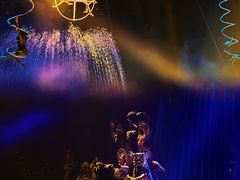 -灵玲国际马戏城