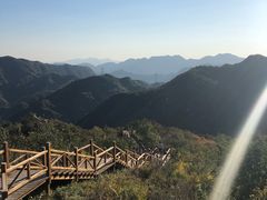 -大岭沟猕猴桃谷风景区