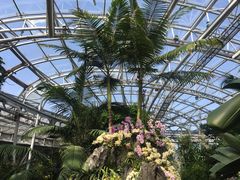 -北京植物园-展览温室