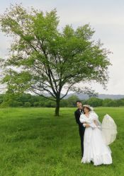 -茜茜公主婚纱摄影会馆