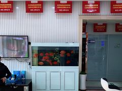 -中科领军口腔