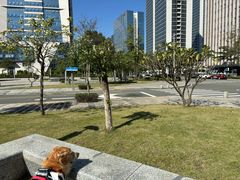 -东莞松山湖万象汇