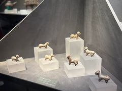 -大同市博物馆