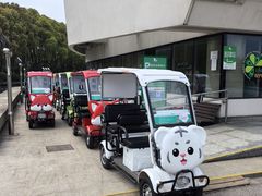 -上海鲜花港