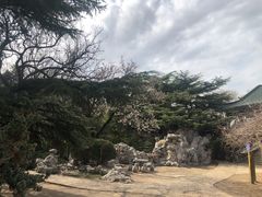 -南山公园
