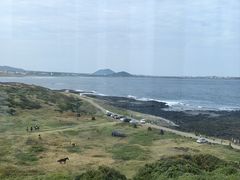 -涉地可支