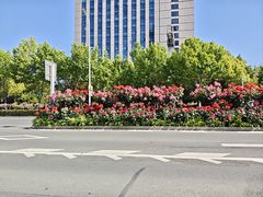 -合肥野生动物园