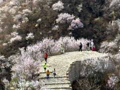 -龙泉峪长城