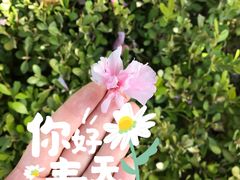 -石家庄市植物园
