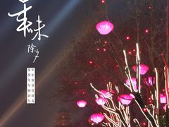 -大雁塔北广场音乐喷泉