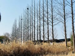 -良渚古城遗址公园