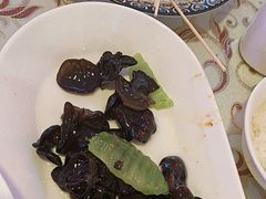-巴特餐饮6加1音乐餐吧·新疆菜