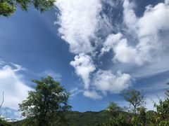 -亚龙湾国际玫瑰谷
