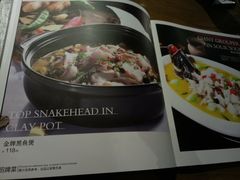 -新悦·霞浦海鲜生(上下杭店)
