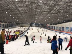 -绍兴启迪乔波冰雪世界