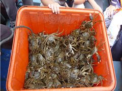 -阳澄湖大闸蟹·琼灵阁牌品牌连锁(吴中总店)