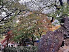 -青岛崂山太清宫