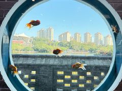 -珠海圆明新园