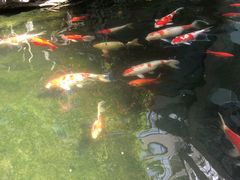 -三禾国际酒店