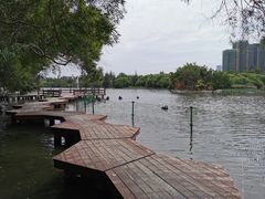 -五缘湾湿地公园