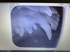 -美联众合动物医院·24h转诊中心