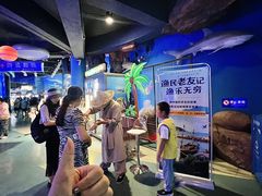 -烟台海昌鲸鲨海洋公园