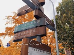 -三里屯东五街银杏大道