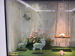 -艾薇芭蕾艺术中心