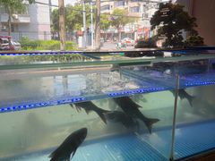 -阿瓦山寨·湘菜现炒·剁椒鱼头王(咸阳总店)