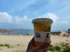 -汕尾风车岛