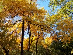 -元大都城垣遗址公园