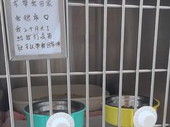 -宠福鑫康馨动物医院·骨科·眼科