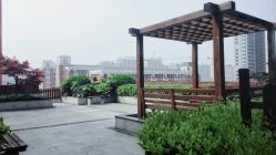 点击看大图 露台-上海市儿童医院(泸定路院区)