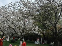 -堤角公园