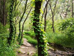 -碓臼峪自然风景区