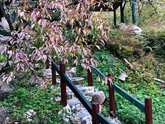 -北京水岸山吧度假村(雁栖镇店)