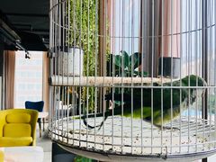 -The ROOF (通盈中心店)