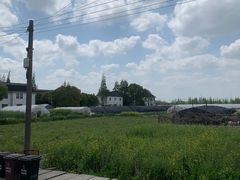 -青浦采草莓天天草莓园