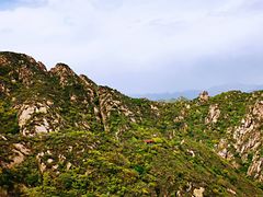 -大岭沟猕猴桃谷风景区