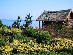 -养马岛旅游度假区